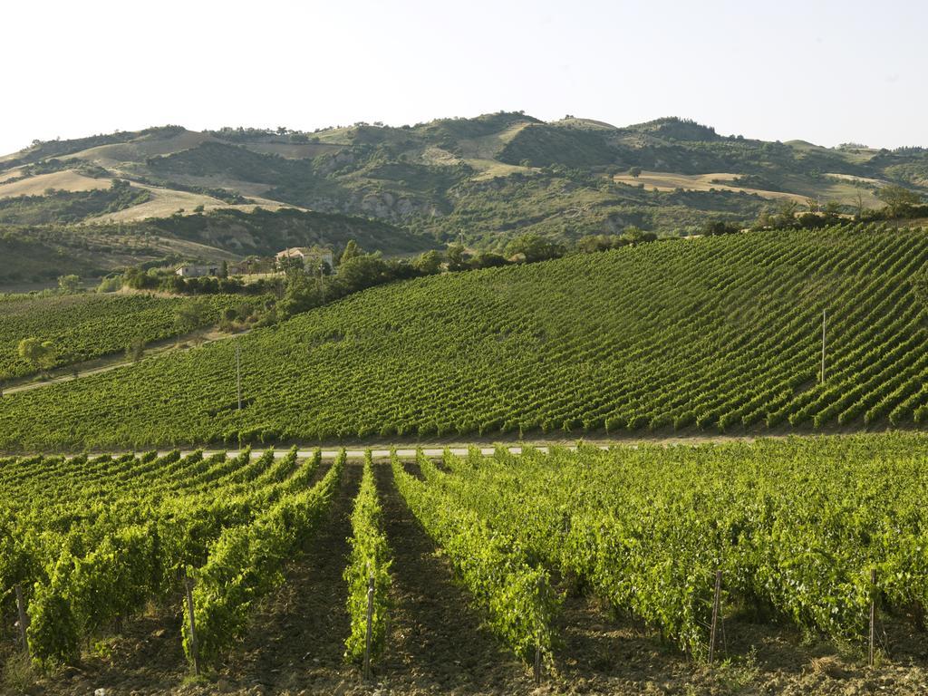 Poderi Firenze Guest House Cinigiano Exterior photo
